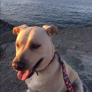 Meet your Posher, Riely